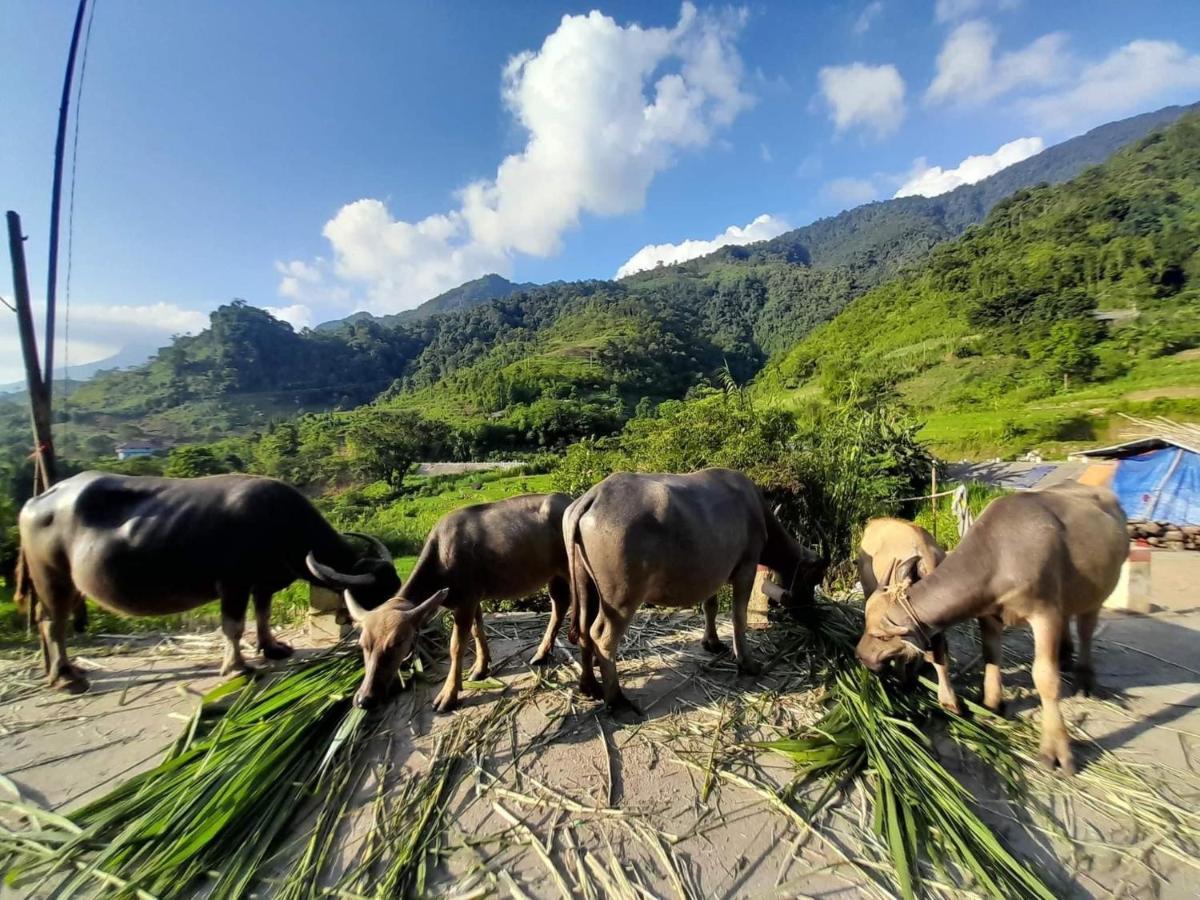 Ha Giang Donkey Hostel Extérieur photo